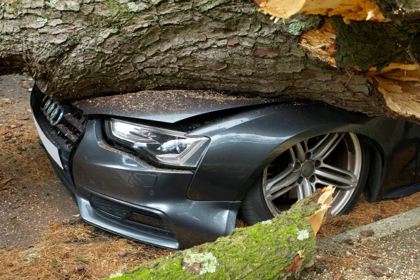 Venta de coches accidentados en Barcelona