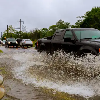 Tasar Inundado